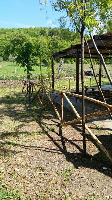 Dal Biondo Bed & Breakfast Dogliola Bagian luar foto